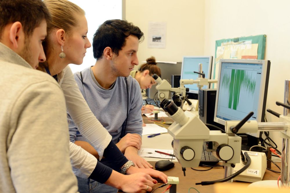 © GenaU, Rasche Schülerinnen und Schüler mikroskopieren im Schülerlaborle