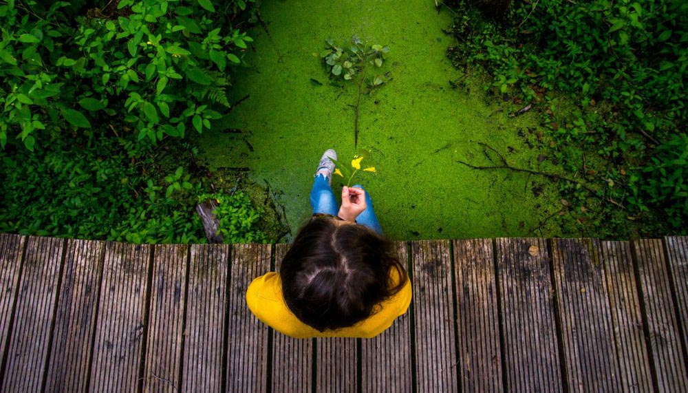 © unsplash/Pawel Tadejko Mädchen aus Vogelperspektive sitzt vor Wiese