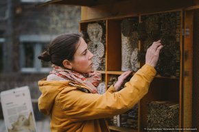 Der gemeinsame Bau eines Insektenhotels kann ebenso das Teambuilding fördern wie einen Beitrag zum Artenschutz leisten. © Dan Zoubek | Netzwerk Grüne Arbeitswelt
