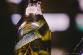 Schlangen in Alkohol sind vor allem in Südostasien beliebt. © Dan Zoubek | Netzwerk Grüne Arbeitswelt
